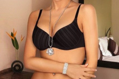 Dina18